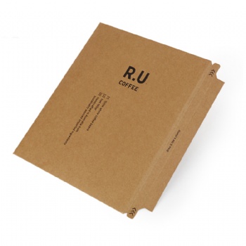 Custom printed cardboard kraft envelope mailer hard envelope with adhesive tape closure