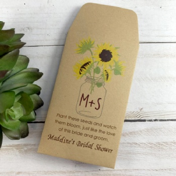 Custom Design Biodegradable Brown Kraft Vegetable Seed Storage Envelopes