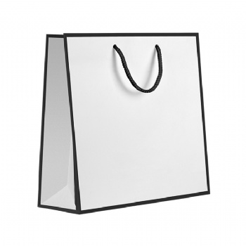 Luxe Boutique Use Custom Shopping Paper Bags With Your Own Logo