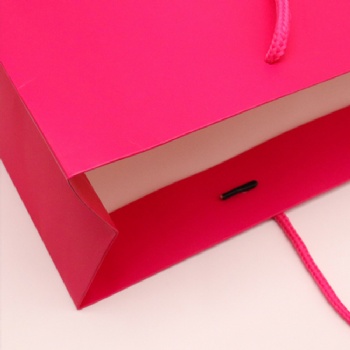 High Quality Plum Red Custom Paper Gift Bag Paper Shopping Bag Boutique For Cosmetics